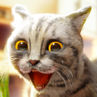 Cat Simulator 2 icon