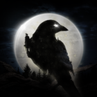 Night Crows icon