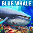 Blue Whale Simulator – Game icon