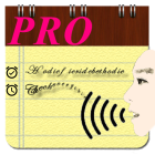 Voice Notes (Pro) icon