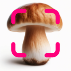 Mushroom Identification icon