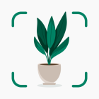 Plantify: AI Plant Identifier icon