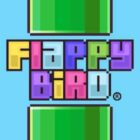 Flappy Bird icon